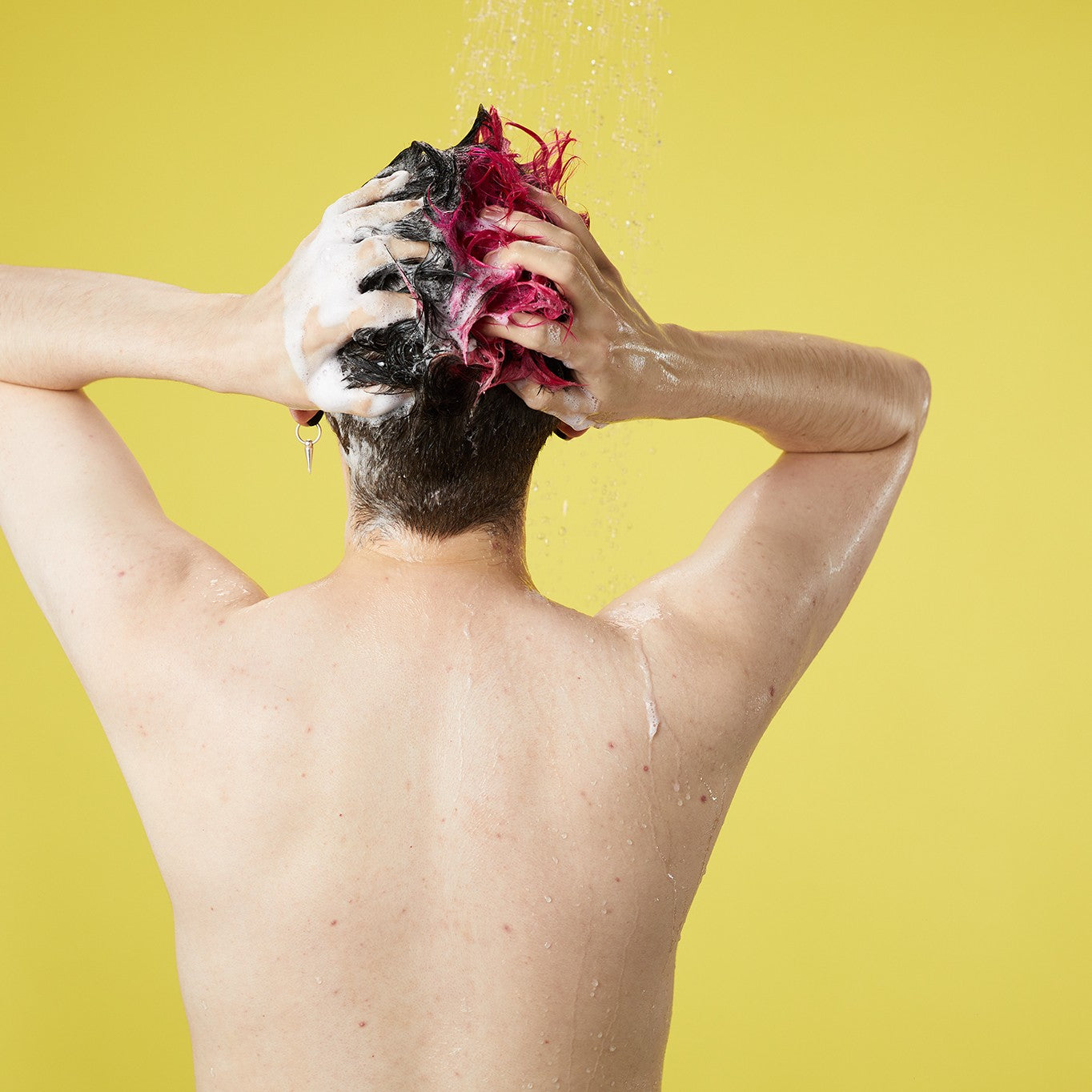 Godiva - Solid Shampoo and Conditioner