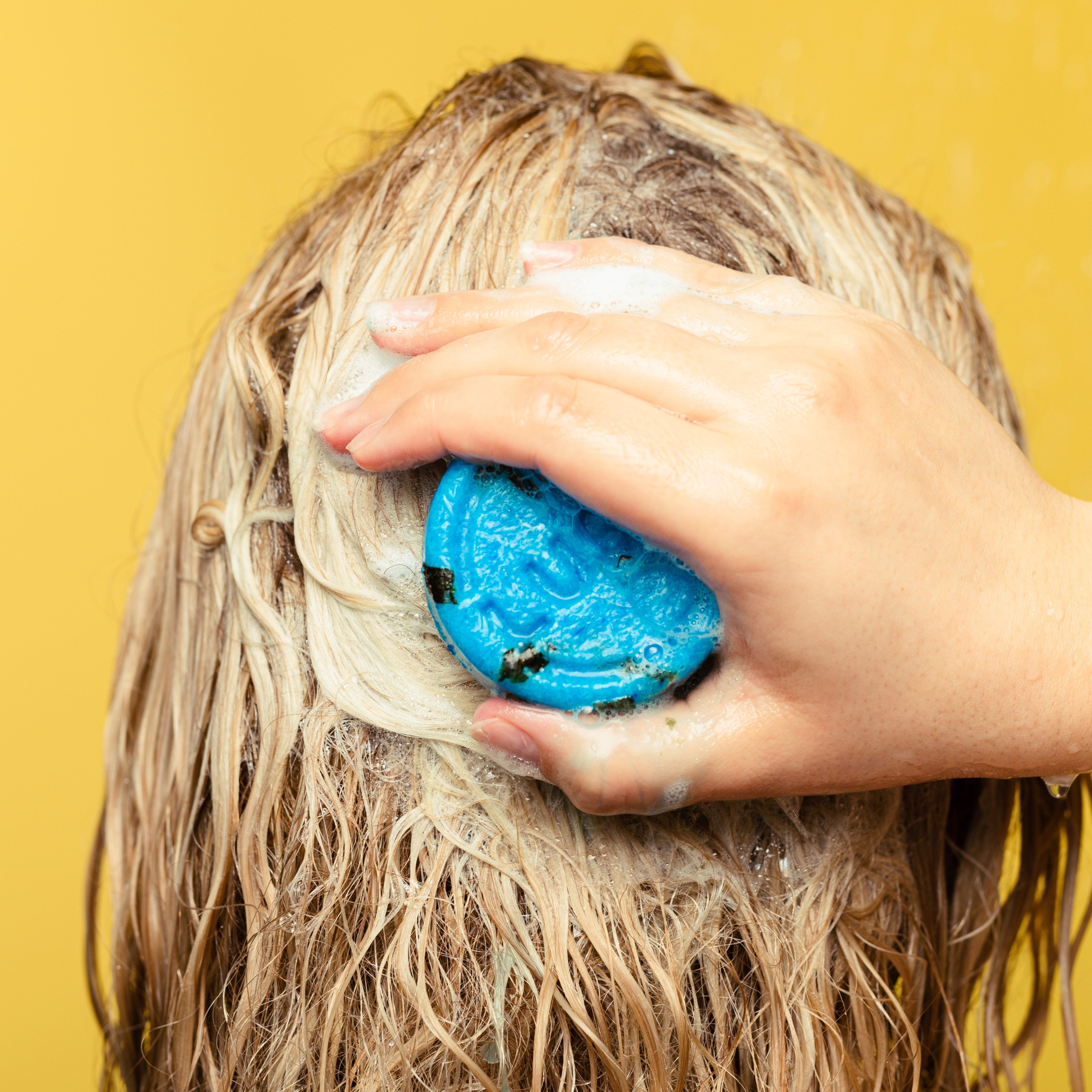 Seanik - Solid Shampoo