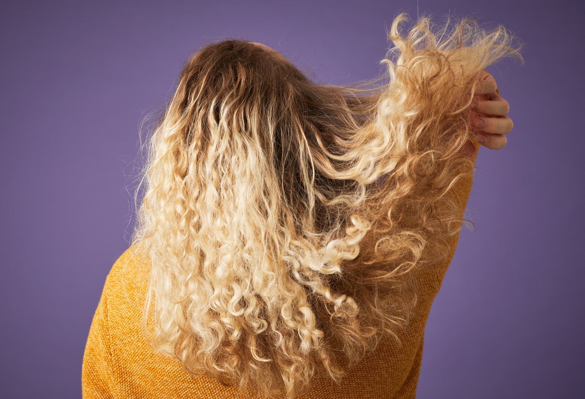 Best Lush Shampoo for Brassy Blonde and Grey Hair (Tone Correcting Guide)