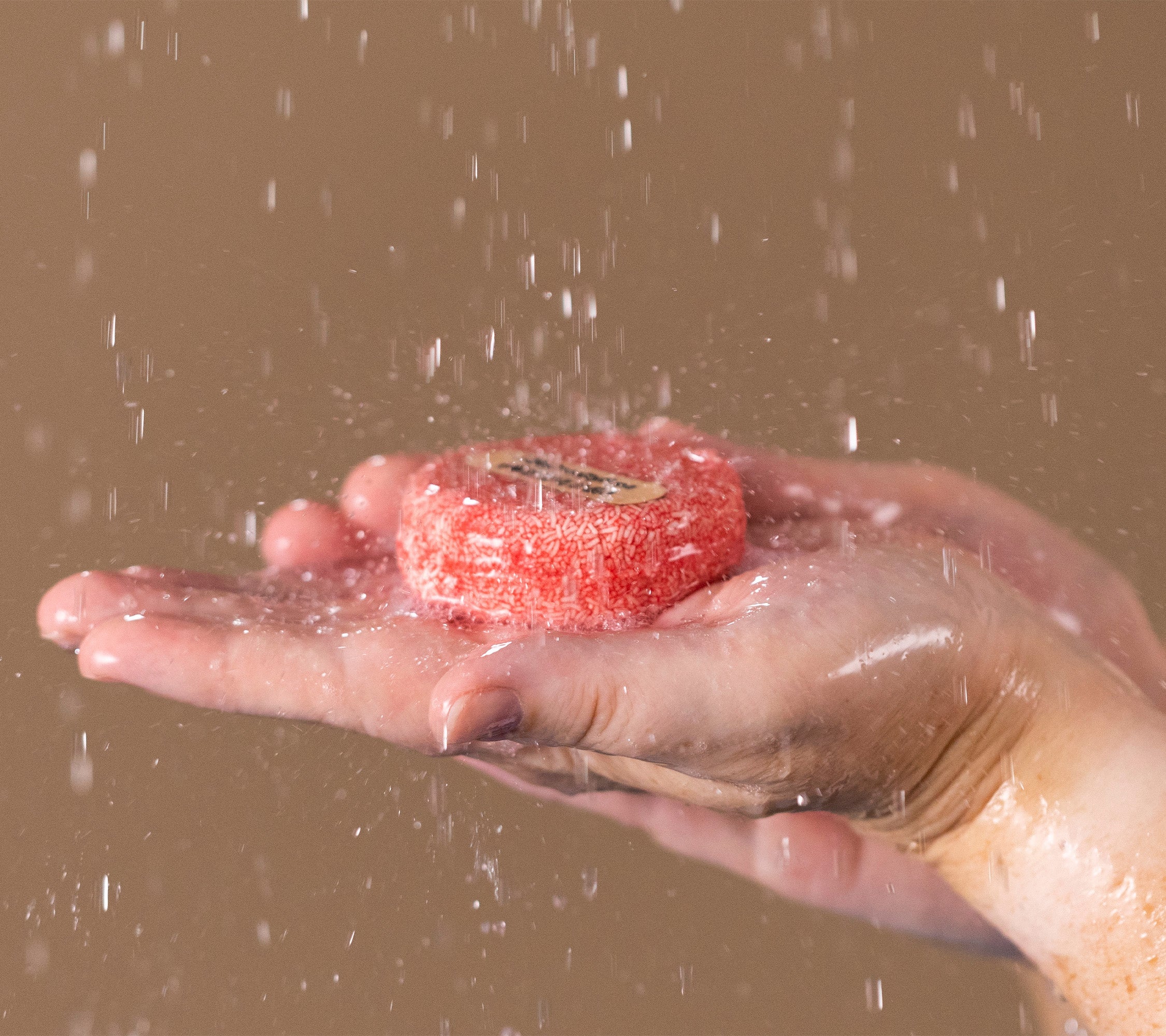 Meet New: The Tingly Solid Shampoo for Fuller-Looking Hair