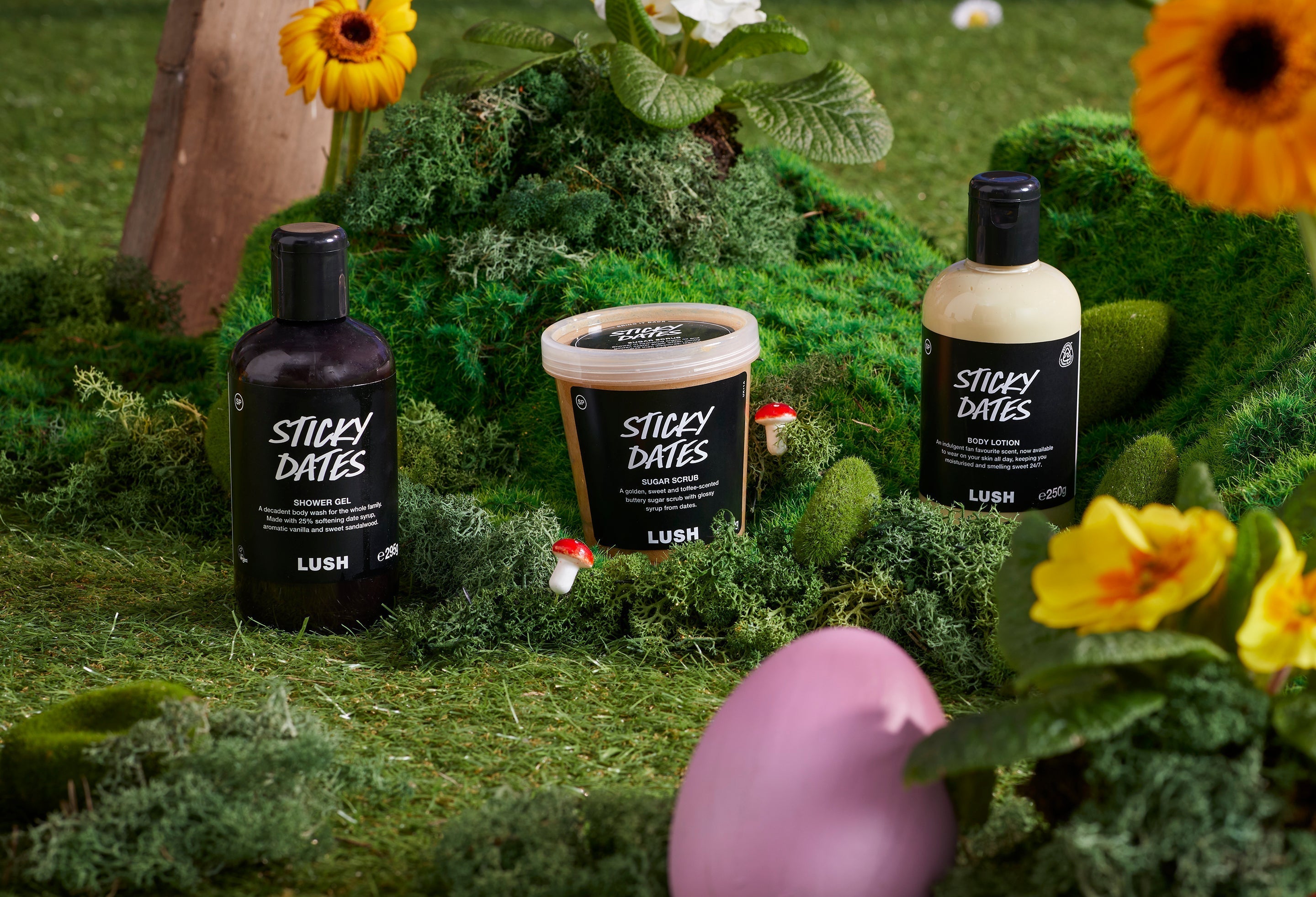 Best Lush Products for Scalp Health and Strong Hair Growth (Complete Routine)