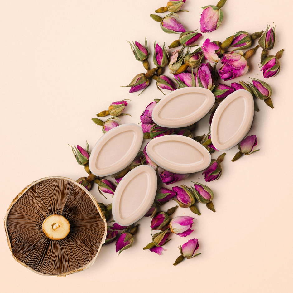 New Arrivals – LUSH