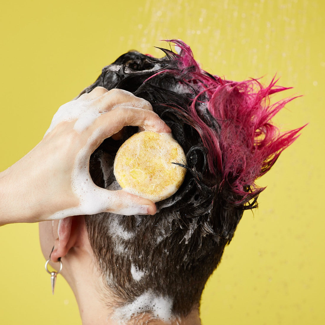 Godiva - Solid Shampoo and Conditioner