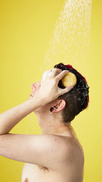 Godiva - Solid Shampoo and Conditioner