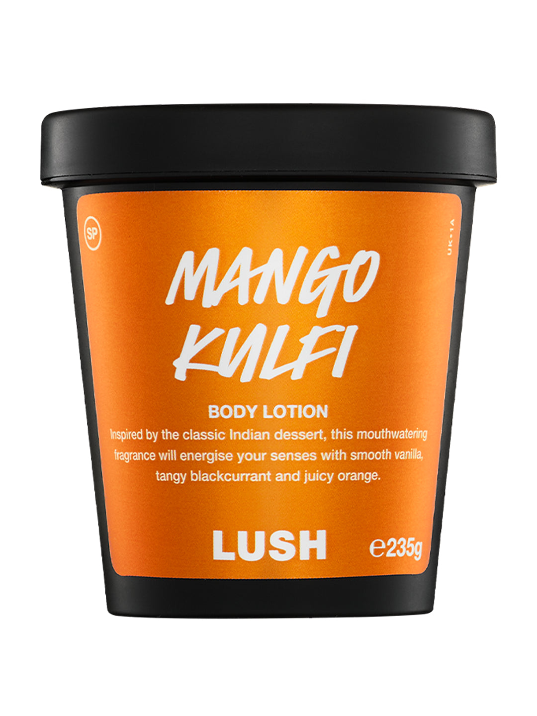 Mango Kulfi 100 g