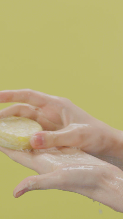 Godiva - Solid Shampoo and Conditioner