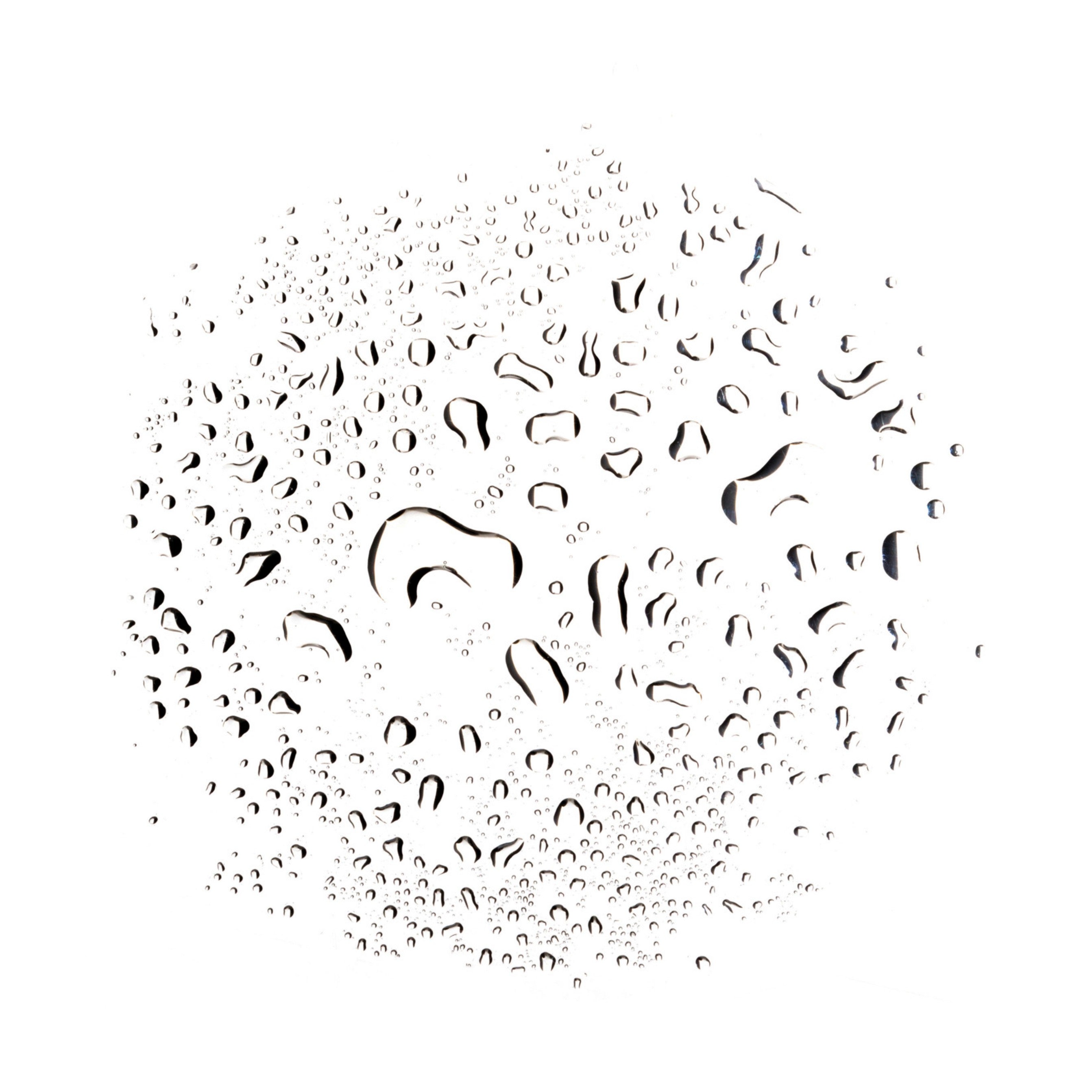 Tea Tree Water - Toner