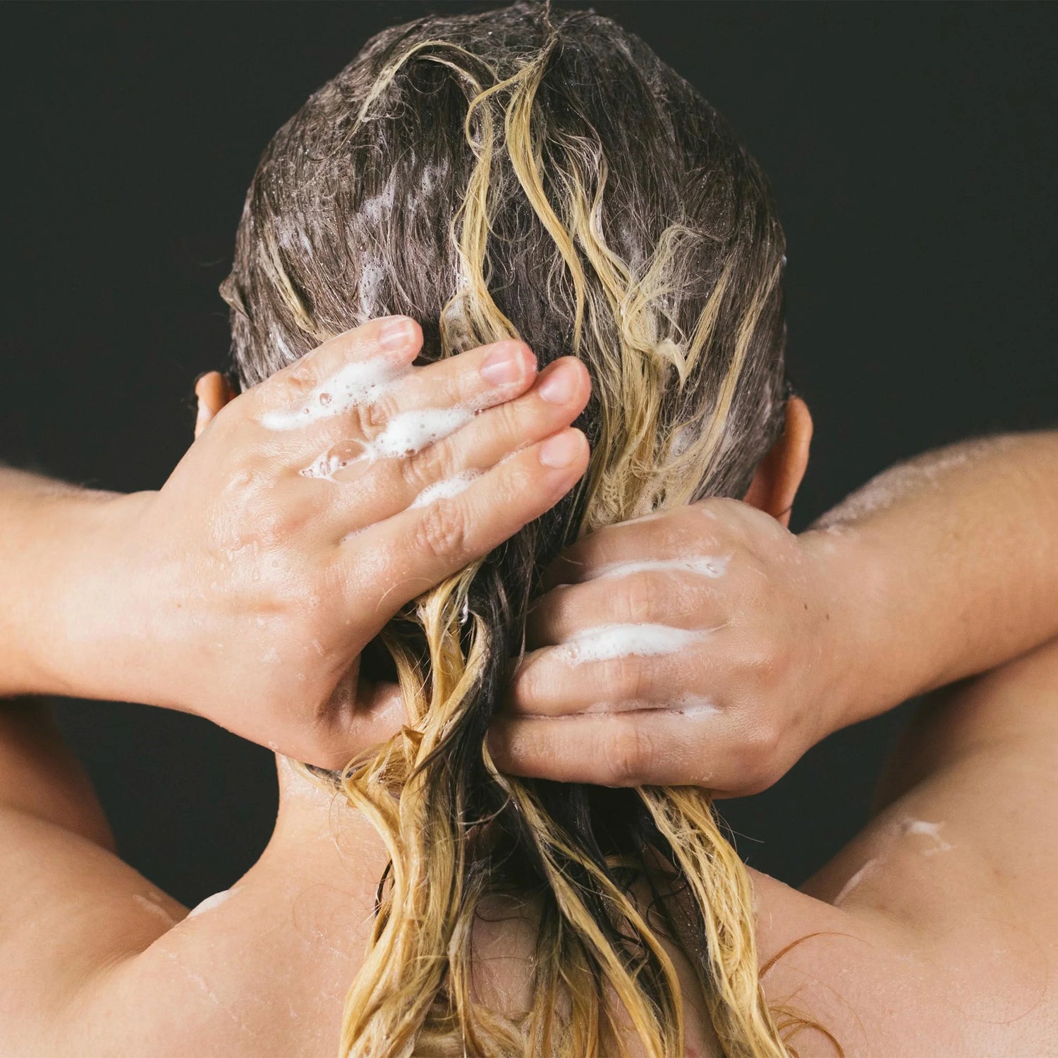 Wasabi Shan Kui - Shampoo