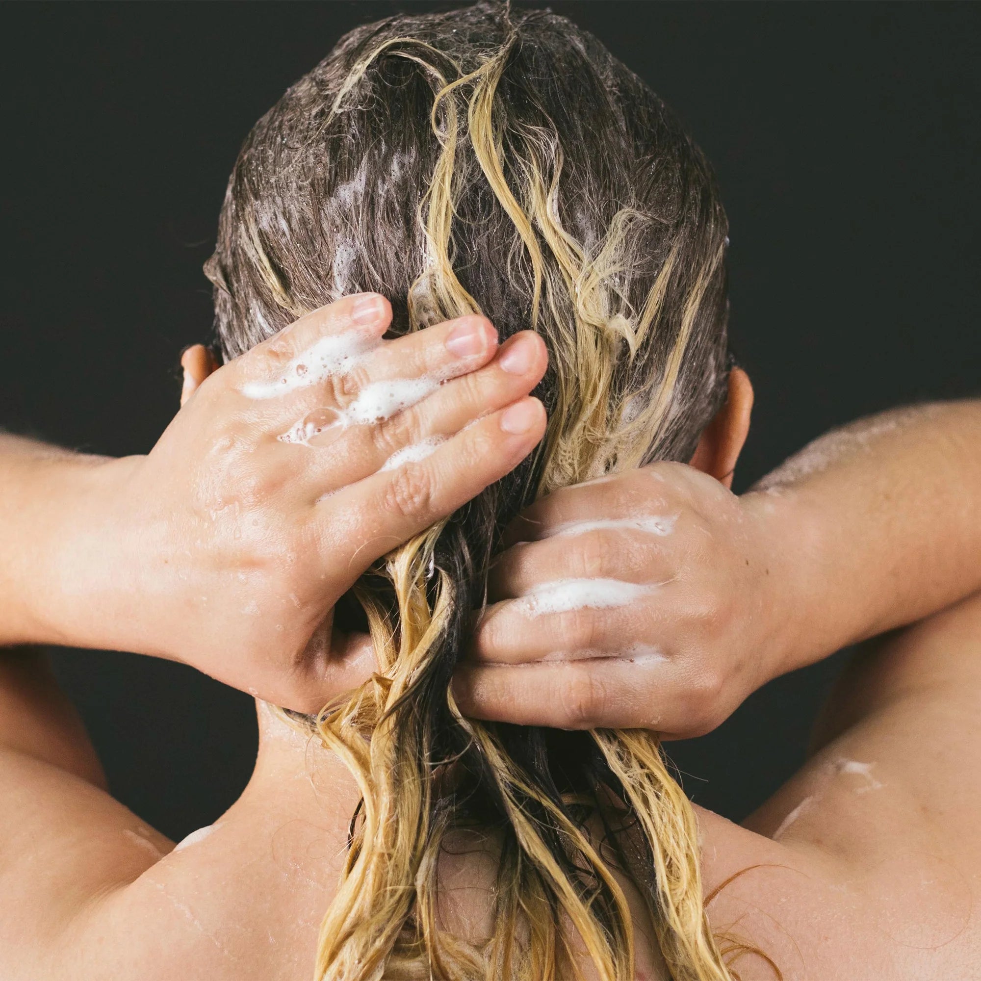 Wasabi Shan Kui - Shampoo